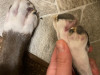 Feet Pictures 2